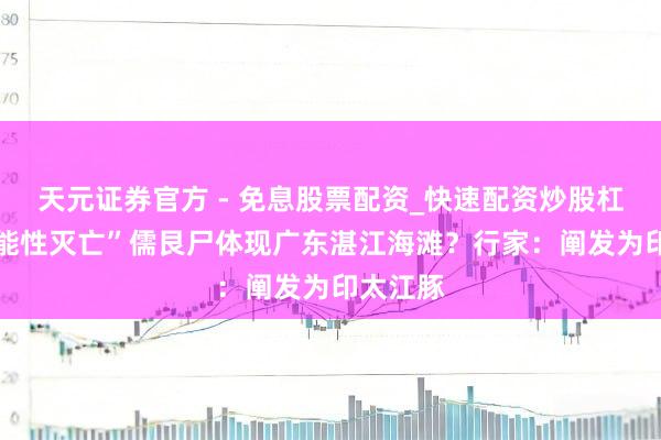 天元证券官方 - 免息股票配资_快速配资炒股杠杆 “功能性灭亡”儒艮尸体现广东湛江海滩？行家：阐发为印太江豚