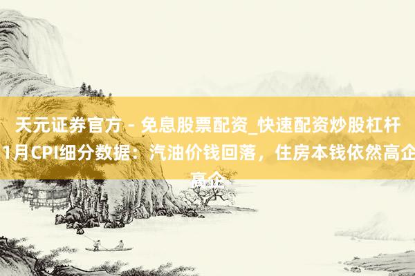天元证券官方 - 免息股票配资_快速配资炒股杠杆 1月CPI细分数据：汽油价钱回落，住房本钱依然高企